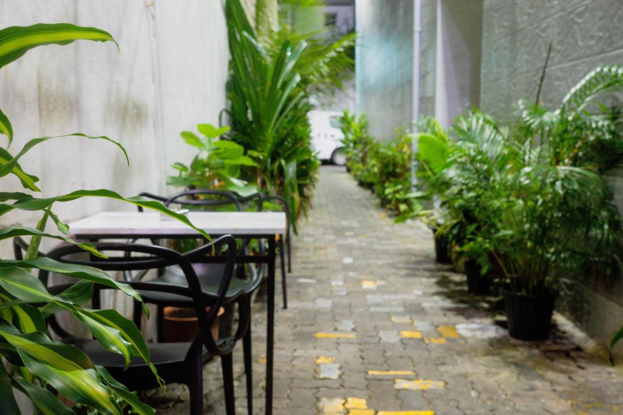 The Park House Hotel Male Exterior foto